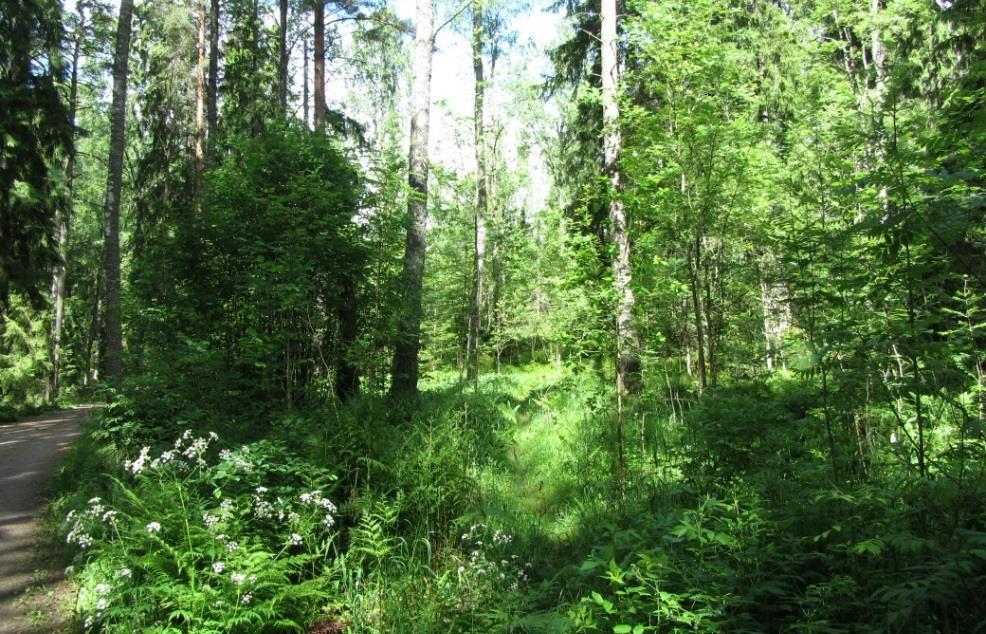 Linnoitealuetta ylläpidetään osana muuta viherympäristöä siten, että sen rakenteet eivät vaurioidu toimenpiteiden yhteydessä.