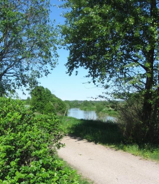 metsämäiset saarekkeet, puurivit, yksittäiset puut tai puuryhmät sekä vesiuomat. Tavoitteet: Aluetta hoidetaan maisemapeltona, maisemaniittynä, laitumena, ketona tms.