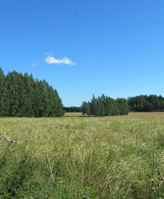 Alueella liikkuminen tapahtuu kapeahkoilla teillä ja jalankulun ja pyöräilyn väylillä, joiden pinta on pääosin sitomaton.