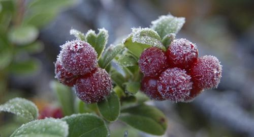 Pohjoisimmassa reunassa on näköalapaikka, josta upeat näköalat mm. Kemijoelle.