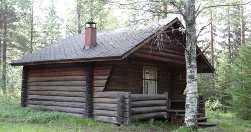 Harvinainen puulajipolku on Siperian komeasta lehtikuusikosta alkava reitti.