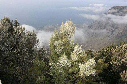 El Hierrolla kannattaa ajaa Mirador de la Peñaan, näköalapaikalle 1400 metrin korkeuteen, josta on Kanarian häikäisevimmät näköalat.