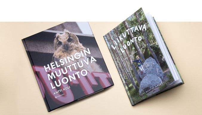 Suomen maakuvatyössä korostetaan vuonna 2018 suomalaisten metsäsuhdetta, ja se nousee pääteemaksi Metsälehdessä sekä näkyy myös kirjoissamme.