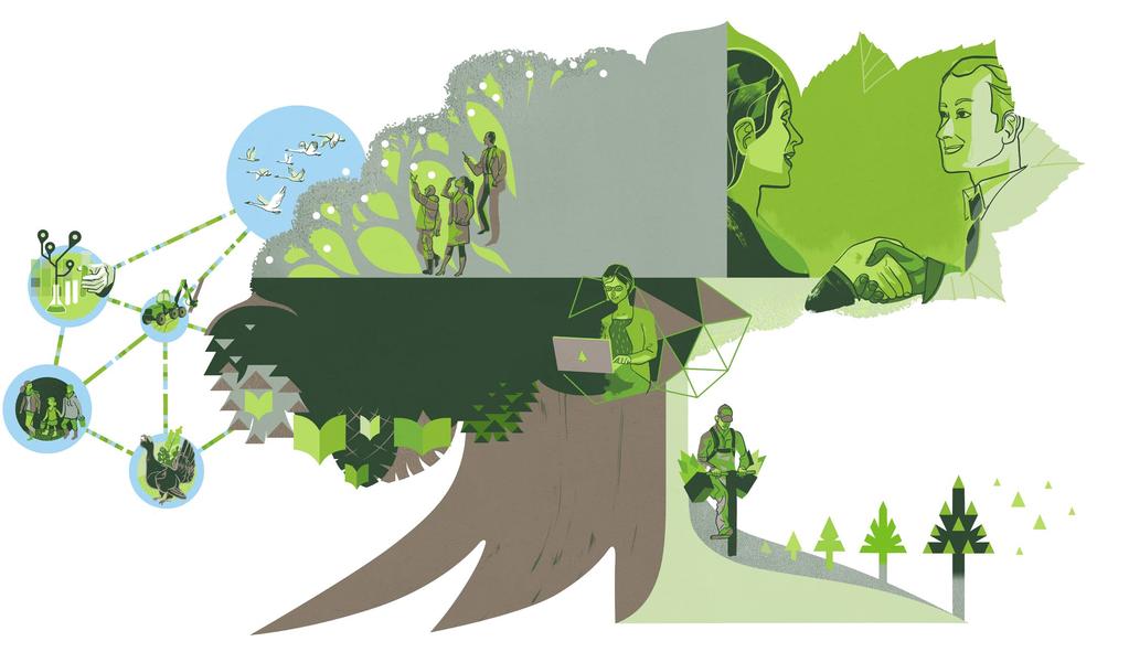Strategia TOIMINTAYMPÄRISTÖ Biotalouden kasvu Kestävä kehitys Metsien monikäyttö Ilmastonmuutos Digitalisaatio MISSIO Menestystä metsästä luomme kilpailukykyä, lisäarvoa ja hyvinvointia laadukkaalla