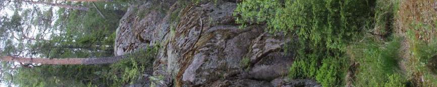 Luonnontilaiset ja luonnontilaisen kaltaiset kalliot ovat metsälain tarkoittamia erityisen