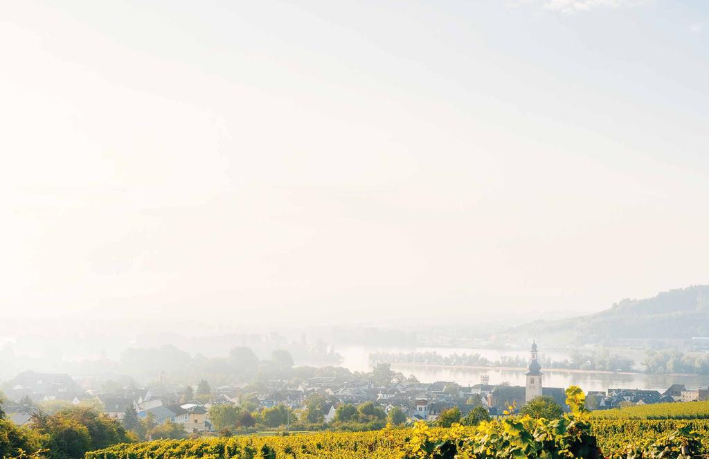 SAKSA SAKSA Weingut Anselmann Weingut Anselmann on yli 450 vuotta vanha, erittäin perinteikäs viinintuottaja Pfalzista. Kaikki viinit valmistetaan omilta tarhoilta kerätyistä rypäleistä.