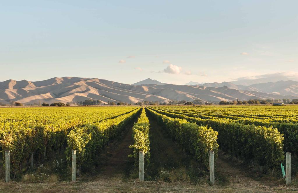 UUSI SEELANTI UUSI-SEELANTI Lindauer Lindauer-viinit ovat todiste siitä, että Uuden-Seelannin viileässä ilmastossa voi tuottaa huippulaadukkaita kuohuviinejä.