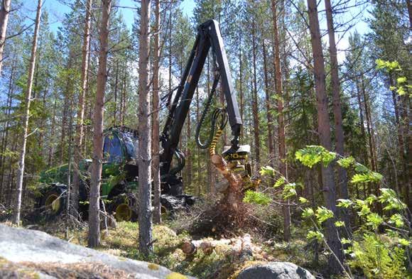HARVENNUS Tehdään 10 15 metrin valtapituudessa. Tehdään 10 20 vuotta ensiharvennuksesta Päätehakkuun jälkeen metsälaki velvoittaa metsänomistajaa huolehtimaan metsän uudistamisesta.