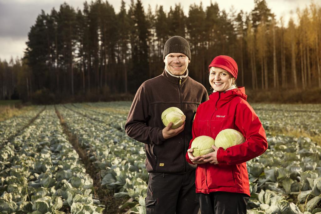 Kalliolan luomu, Haukivuori Kalliolan luomu on Elina ja Antti Vauhkosen luomutila Etelä-Savossa, Mikkelin Haukivuorella. Tila on erikoistunut luomuvihannesten tuotantoon.