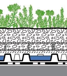 Hydroseeding (levittämällä vesi-siemensekoitus) tai maksaruohopistokkaat 67 84 60 Kasvualustakerros