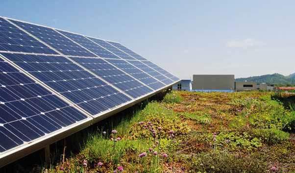 Järjestelmäratkaisu SolarVert aurinkoenergia Aurinkoenergiajärjestelmä vai viherkatto? Tätä ei enää tarvitse kysyä!