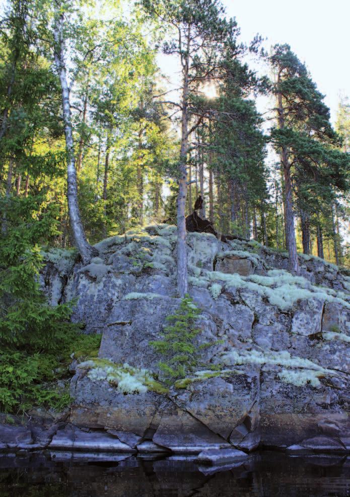 Toimistohenkilöiden teemapäivät 22. - 23.9.