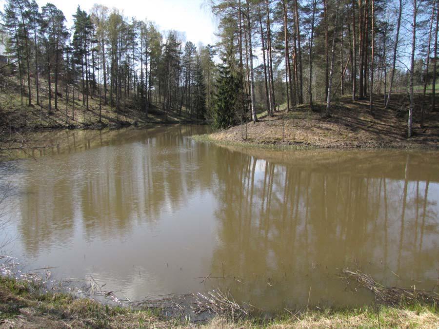 I luokan alue Selvitysalueella ei havaittu selkeitä viitteitä siitä, että alueella esiintyisi lepakoiden lisääntymispaikkaa.