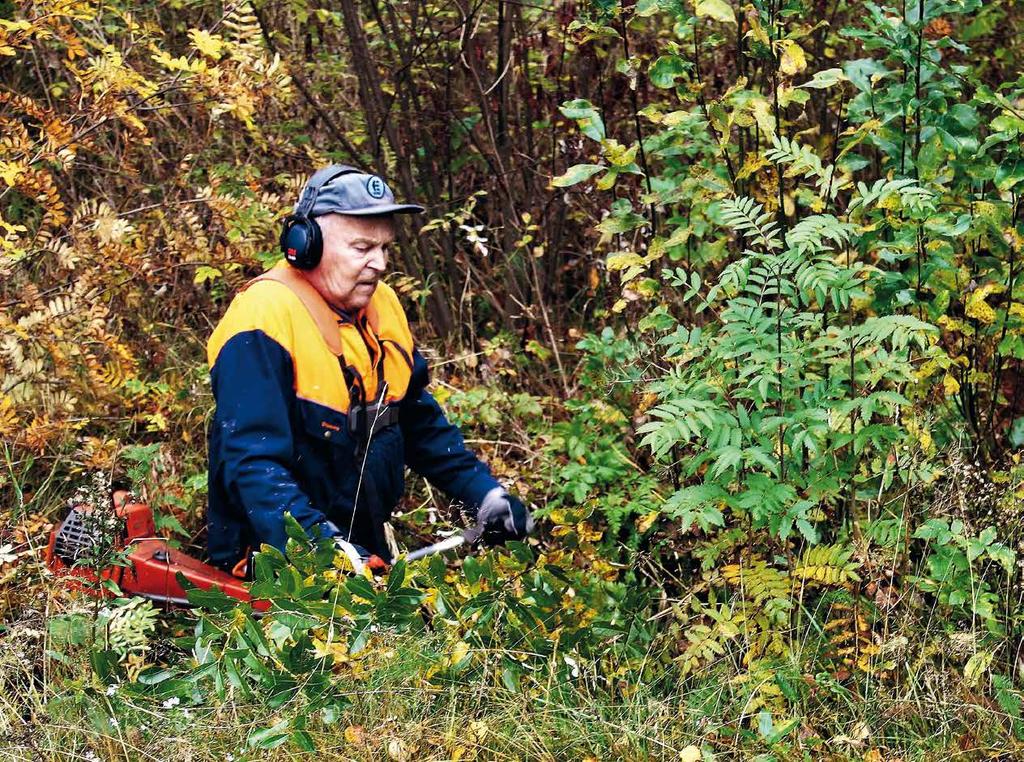 Nyt myös venemoottorien, mönkijöiden ja moottorikelkkojen kausihuollot ja