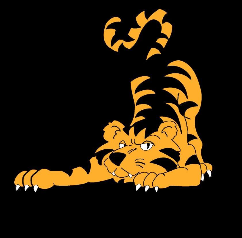Salibandykeskus TIGER SPORT AREENA Viihtyisä salibandykeskus 3 isoa ja 2 pientä