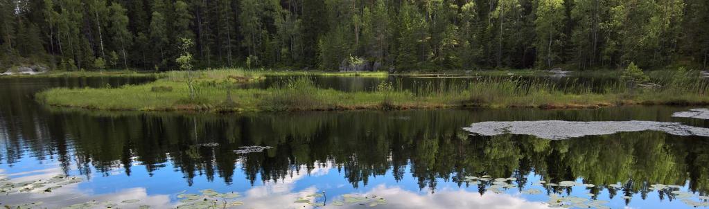 Sentraalinen koherenssi