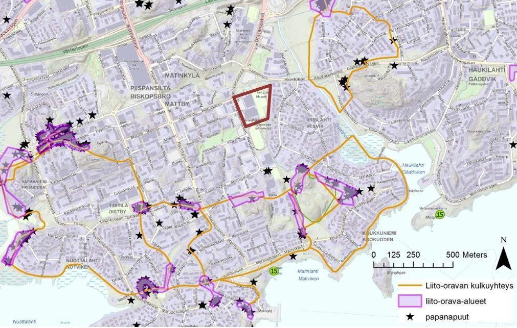 7 Kuva 2. Liito-oravan elinalueet ja niiden väliset kulkuyhteydet hankealueen läheisyydessä. (Hankealue on rajattu punaisella) 2.