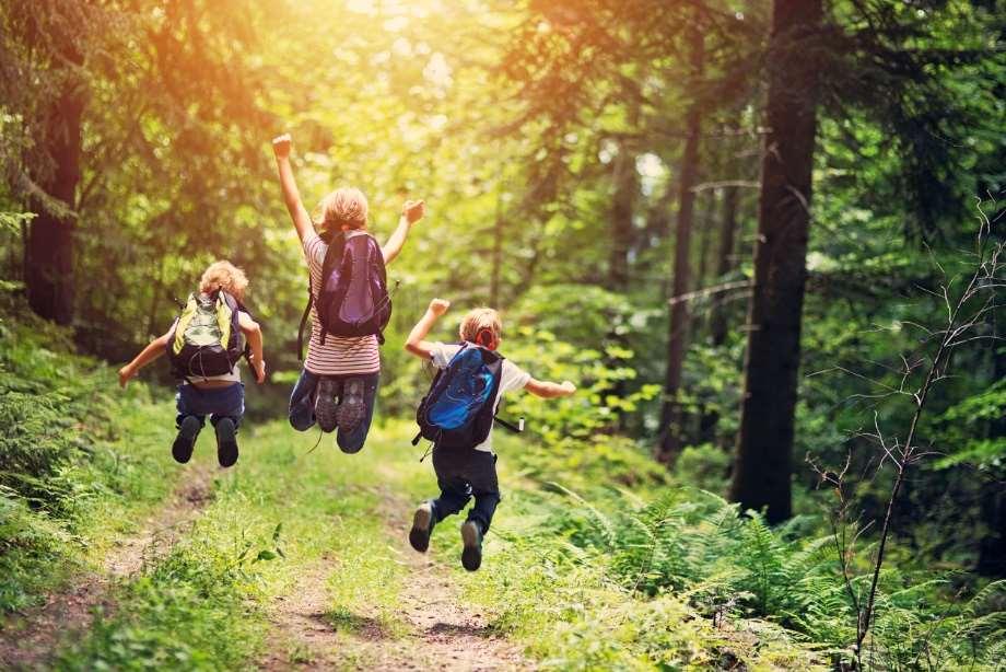 Suurten kaupunkien ja kaupunkiseutujen kasvu lisää vastavirtojen määrää ja korostaa