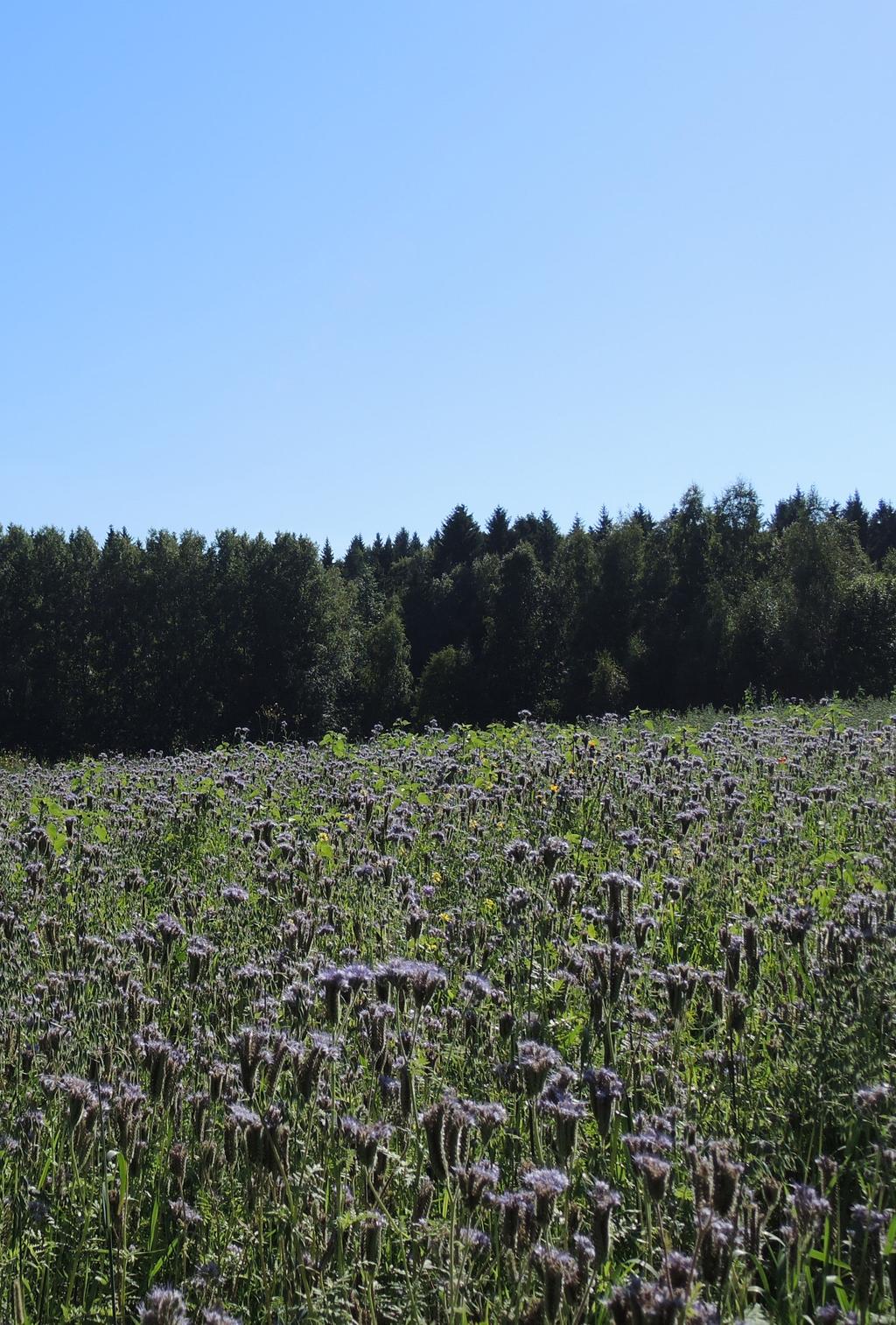 JOHDANTO Pirkanmaan maatalousympäristön haasteet (YMPPI) hankkeessa kehitetään ja testataan maatalouden ympäristöasioihin liittyviä toimintatapoja.