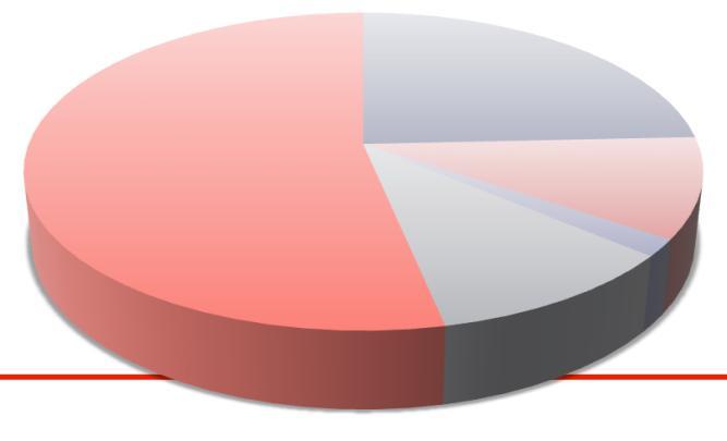 Henkilöstömenot 51 % Tarvikkeet 4 % Vuokrat ja muut menot 39 % Palvelujen ostot 9 %