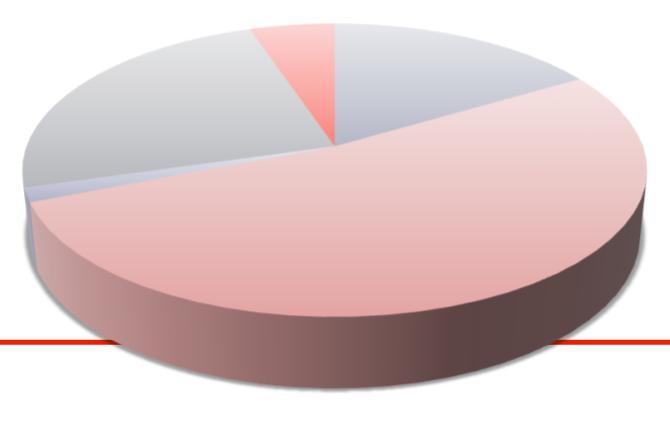5 % Palvelujen ostot 24 % Henkilöstömenot 16 % Vuokrat ja muut kulut 52 % Kansalaistoiminnan