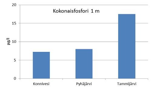 Kuva 35.