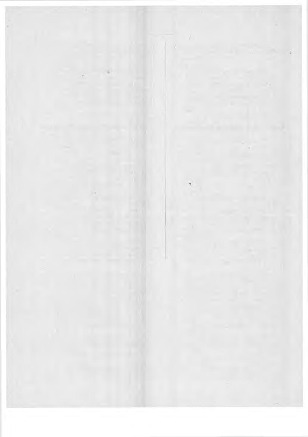 114 ("ht) ylimääräistä kirjanpitäjänvirkaa Helsingin postikonttorissa vuonna 1909: ckspeditöörinapulaincn Zaida Emilia Spoof; sijainen: harjoittelija Helmi Sofia Lampcn.