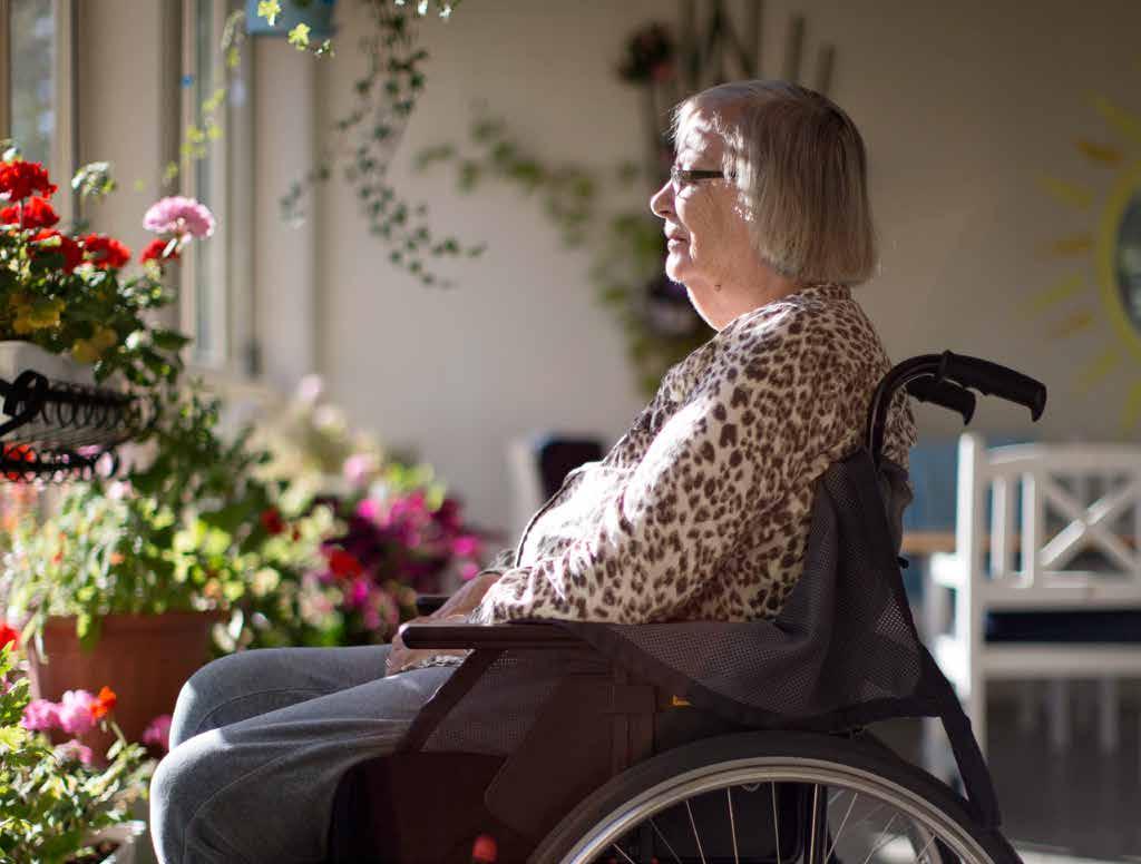 Profiiliasunnot Erikoisasiantuntemusta tarjoavat hoito- ja hoiva-asunnot Profiiliasunnoksi (profilboende) kutsutaan hoito- ja hoivaasuntoja, joissa on tarjolla erikoisasiantuntemusta sitä