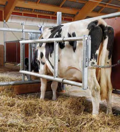 5 4 5 3 3. DeLaval FF50 ruokinta-aita ja syöntiparsi Hankomallinen ruokinta-aita vähentää lehmien jalkoihinsa vetämän rehun määrää merkittävästi verrattuna niskaputkiaitaan.