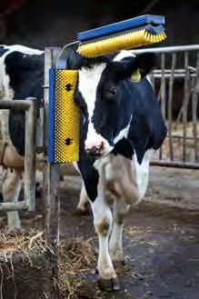 com/fi/minikarjaharja DeLavalin vapaasti kääntyvä karjaharja vaikuttaa maitotuotokseen 1 kg/päivä ja pienentää 34% kliinisiä