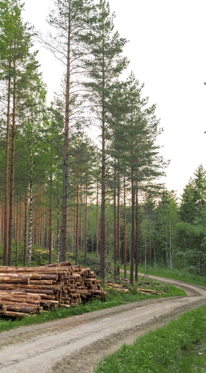 Puunhankinnan lisäys uuden biotuotetehtaan kohdalla Koko Suomen kestävästä kuitupuun lisäyspotentiaalista suurin osa on Pohjois-Suomessa Uusi biotuotetehdas käyttäisi puuta noin 6,7 milj.