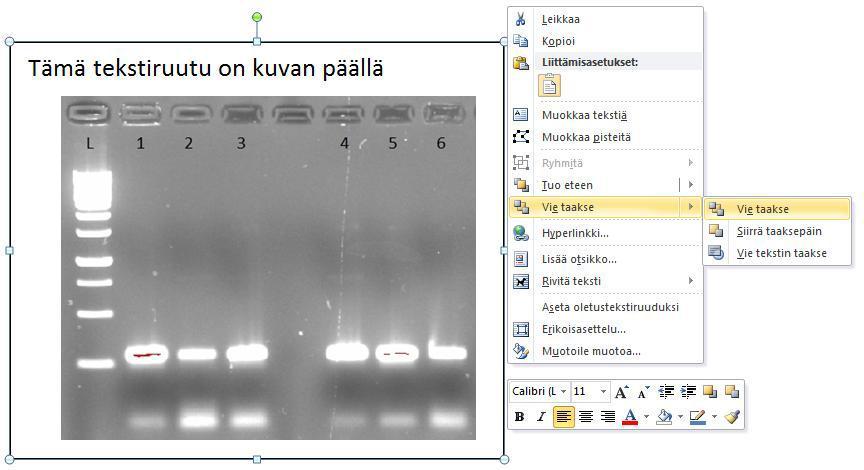 Tekstin, objektien, kuvien &