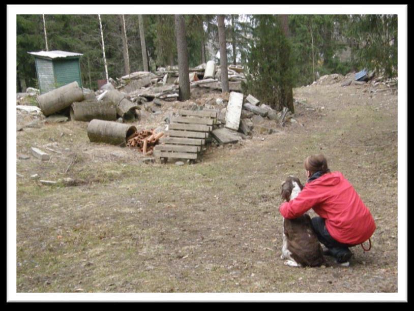 Springerspanielit ry JALOSTUKSEN TAVOITEOHJELMA 60 (117) Virallisiin agilitykilpailuihin osallistuu vain pieni osa agilitya harrastavista koirista (noin 20-25 yksilöä vuodessa).