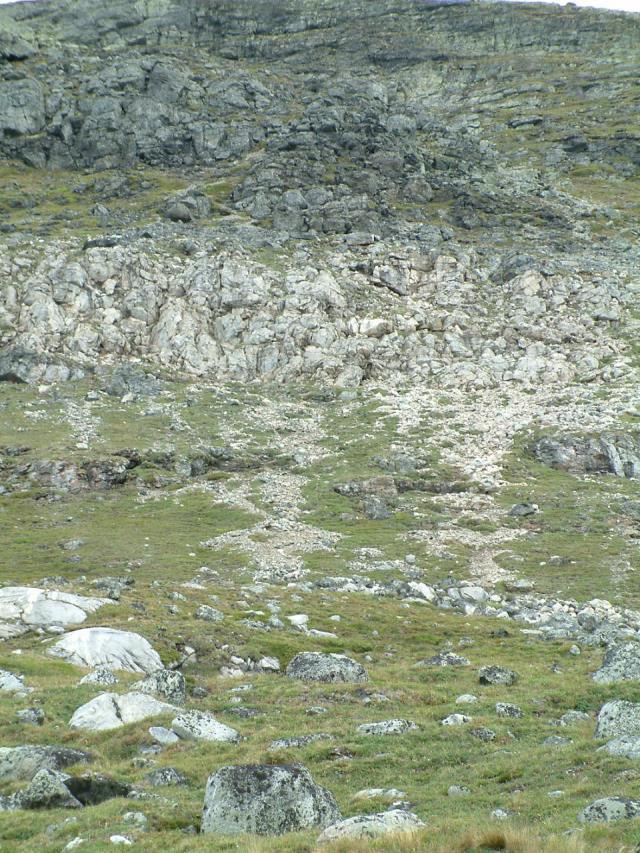 suurtuntureilla Paljakan kalkkikalliot ja -kivikot (Tlk) 127 lajin (7