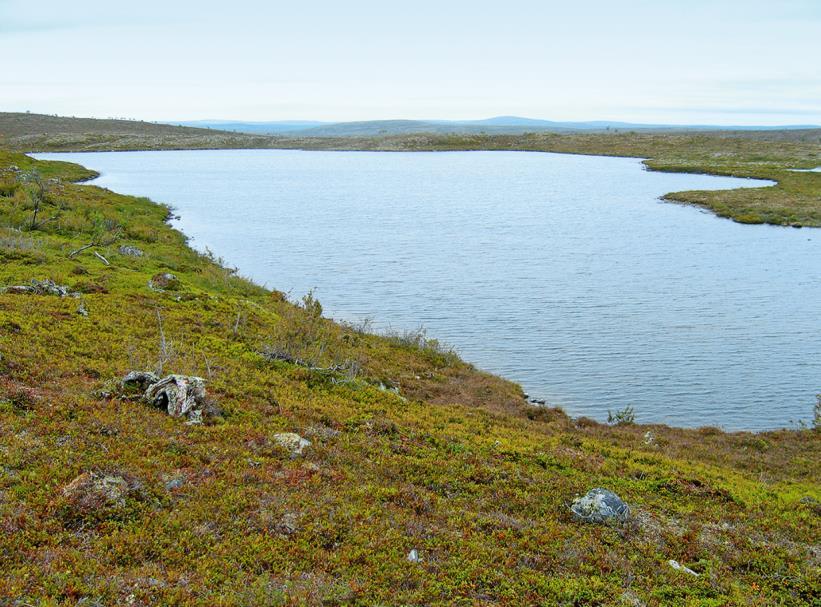 Tunturien järvet, lammet, lampareet ja allikot Pohjois-Lapin järvet (NT) Tunturilammet (LC) Allikot ja lampareet osin lampiin, osin soihin Rannat Sisältyvät luontotyyppiyhdistelmään, mutta LuTU:ssa