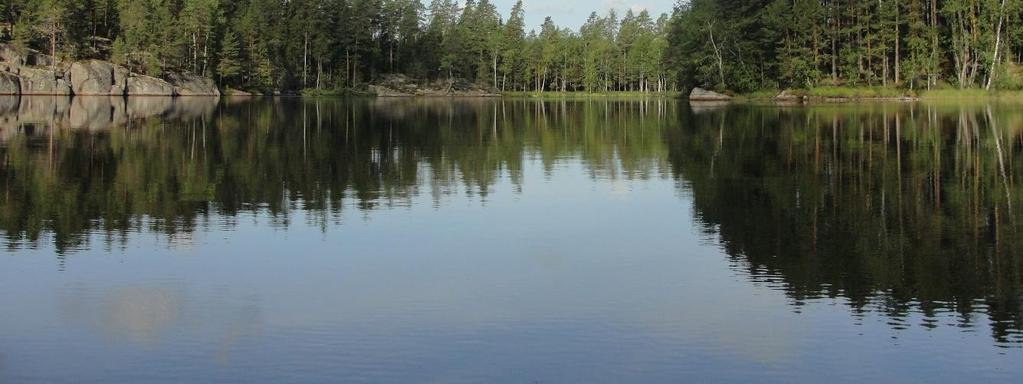 kuluttavan bakteerihajoamisen vuoksi. Lammen oma kasvituotanto eli perustuotanto oli ainakin klorofylli-a pitoisuuden perusteella hyvin niukkaa.