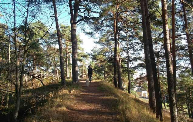 Kehittämistavoitteet ja käytön rajoitukset Aluetta koskevat useat suojelu ja rauhoituspäätökset. Niistä seuraa suoraan joitakin rajoituksia alueen käytölle.