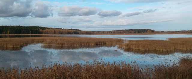 Suojeltua metsää on yhteensä noin 50 hehtaaria. Eteläkärjen suojelumetsä on osa Porvoonjoen suiston Stensbölen Natura 2000 -aluetta.