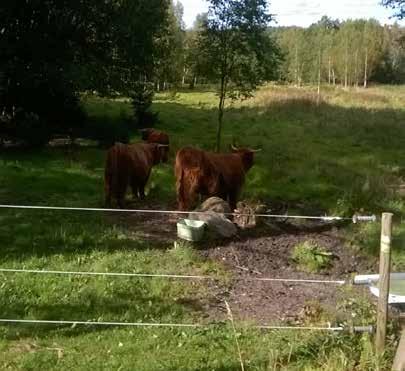 sbölen muiden suojelualueiden yhteydessä. Kehittämistavoitteet ja käytön rajoitukset Huvilaympäristöt ovat yksityisiä.