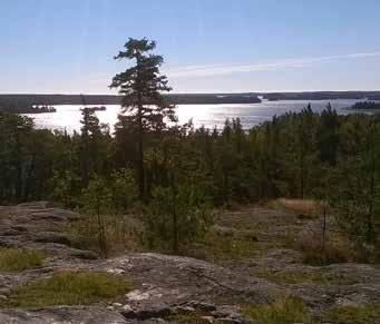Tavoitteena on jatkaa rantareittiä Hamarista Haikkooseen Lennätinvuoren etelärinteelle Mohikaanipolun ja Örnshamnintien väliin.