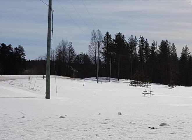 tiestä (vasen kuva).