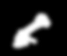 Cordless