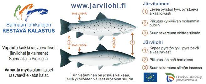 Pohjois-Euroopassa ja Pohjois-Amerikassa Lajia uhkaa mm.