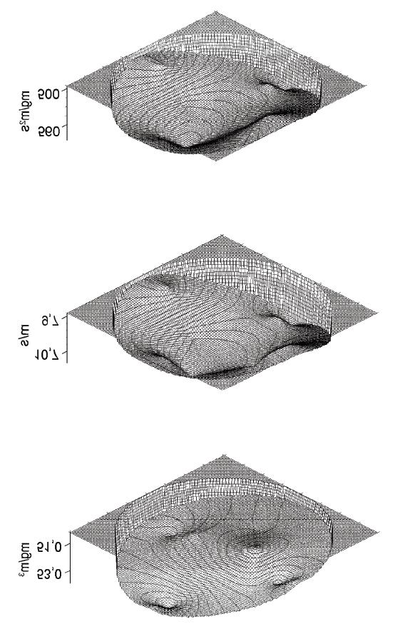 61 Mass concentration Velocity Mass flow density Figure 30 Example of one