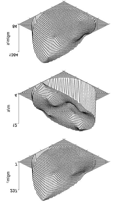 62 Mass concentration Velocity Mass flow density Figure 31 Example of