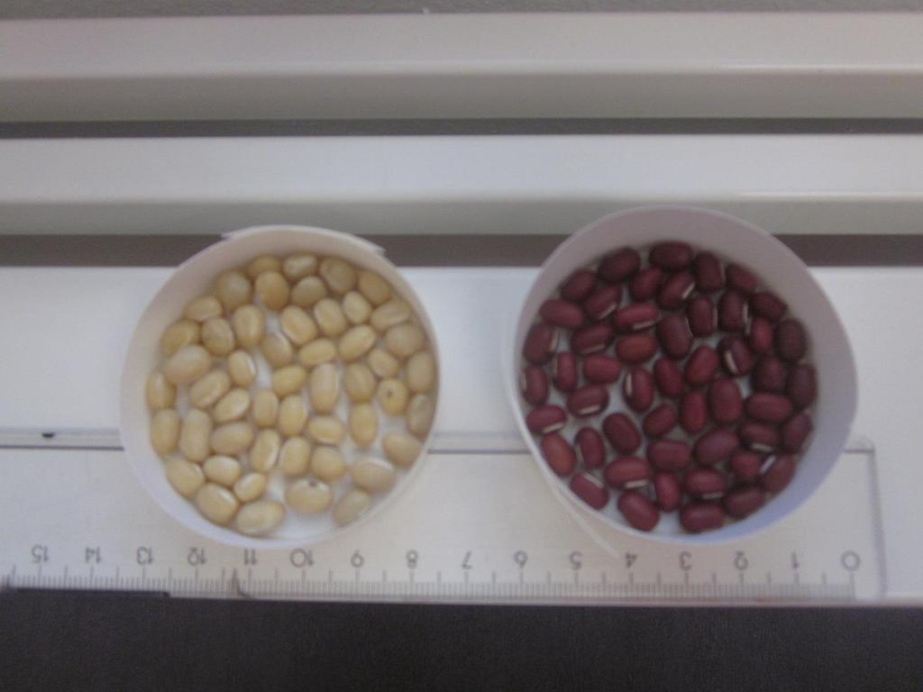 Hernekasveihin kuuluva adsukipapu (Vigna angularis) (ennen adzuki, aduki) on Itä-Aasiassa ja Himalajan vuoristossa viljeltävä yksivuotinen papu.