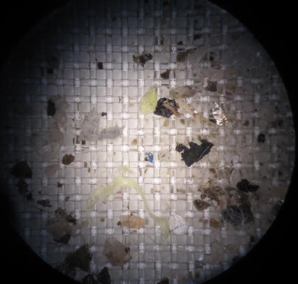 1 mm 1 mm Kuva 18.