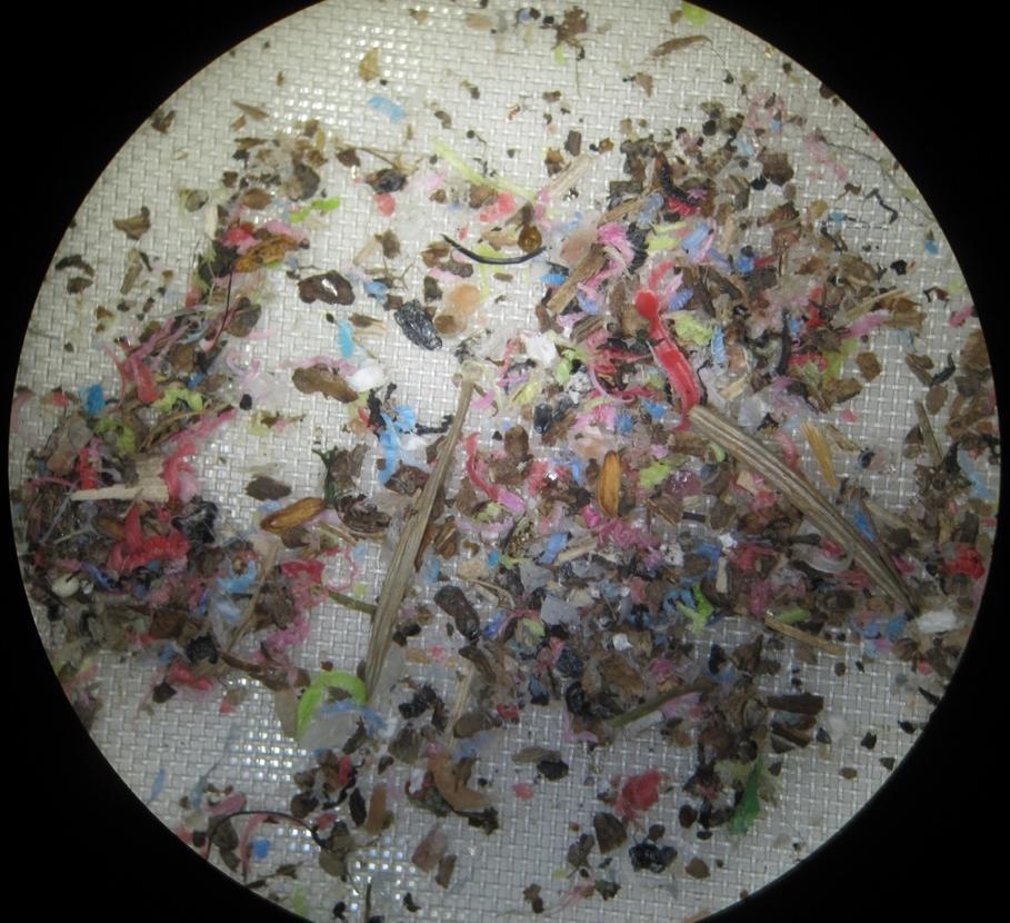 Luminäytteiden sisältämistä polyeteeniroskista hyvin pieni osuus oli kooltaan yli 4 mm eli lähes kaikki polyeteeniroskat olivat mikromuoveja.