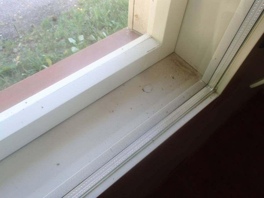 Suositellaan ikkunoiden ja ovien puu-osien puhdistusta / huoltokäsittelyä. Kastunut ikkuna tulee kunnostaa tai uusia ja ikkunan alapuoliset rakenteet tarkastaa.