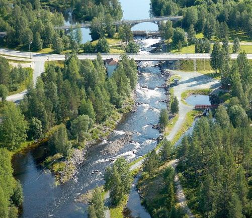 Sunnuntai 7.7. 9.30 12.30 OPASTETTU LINJA-AUTORETKI JOKIJÄRVELLE JA PÄÄTÖSSANAT, Lähtö Kalle Päätalon torilta Edestakainen matka 15 sisältäen pääsylipun Kallioniemeen.